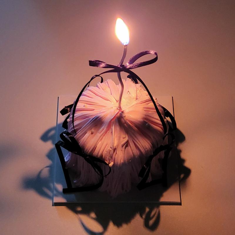 블랙핑크 누들 미니케이크🎂 💬 사실 케이크는 기대 안했는데 집근처 단골 카페에서 웅니가 맞춰줬당🥰❤️