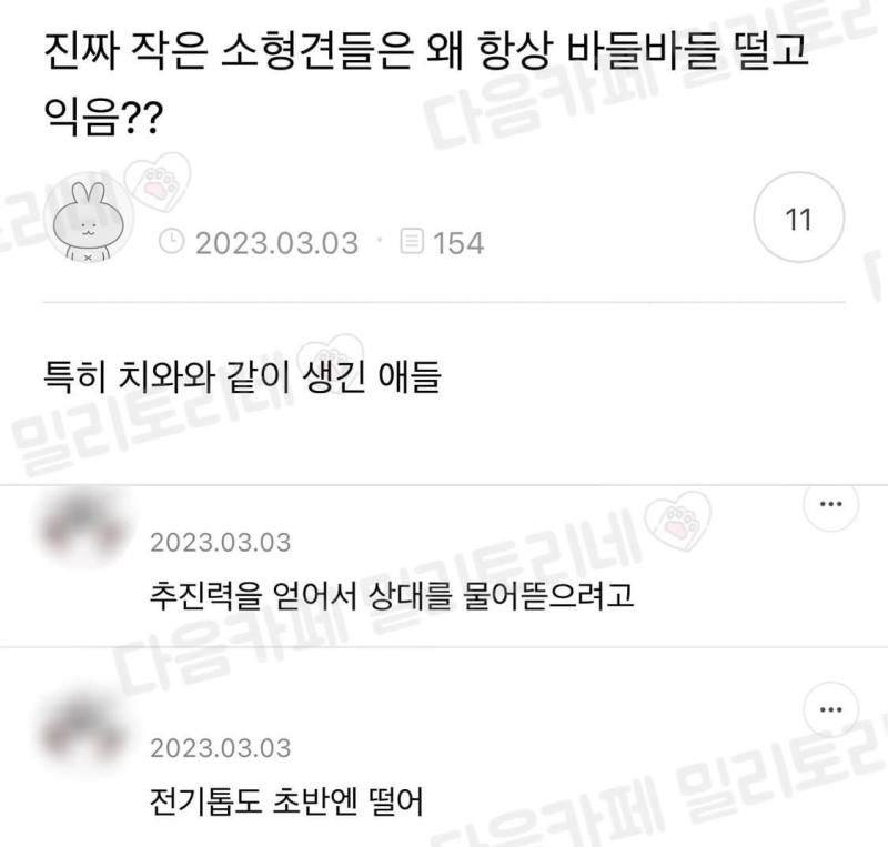 소형견이 떠는 이유