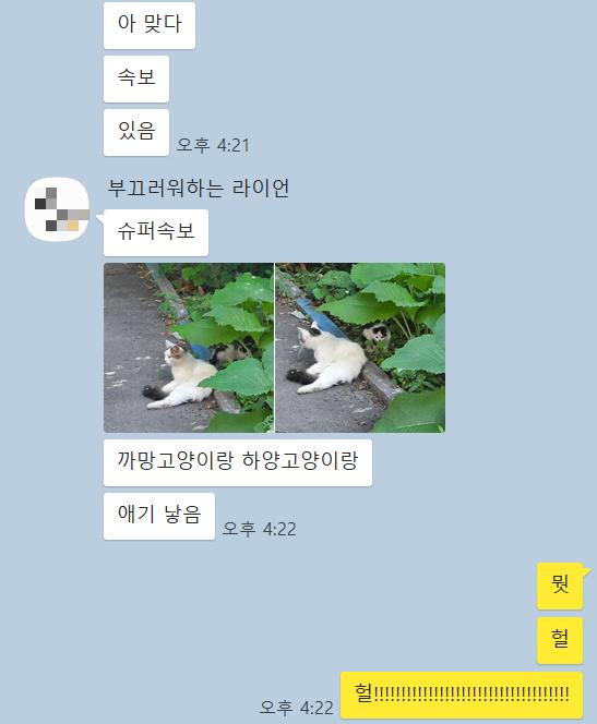 귀여운걸보고싶다면당장여세요