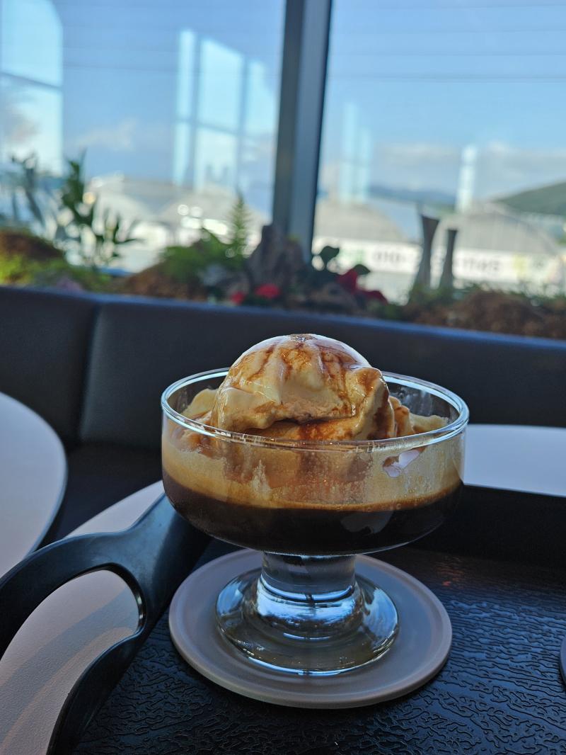 아포가토☕️ 가족들이랑 같이 대형카페 다녀왔다. 카메라 가져가서 서로 사진 찍어주고 포즈 취하느라 바빴다. 사진 봤는데 살 찐 거 너무 티남,,