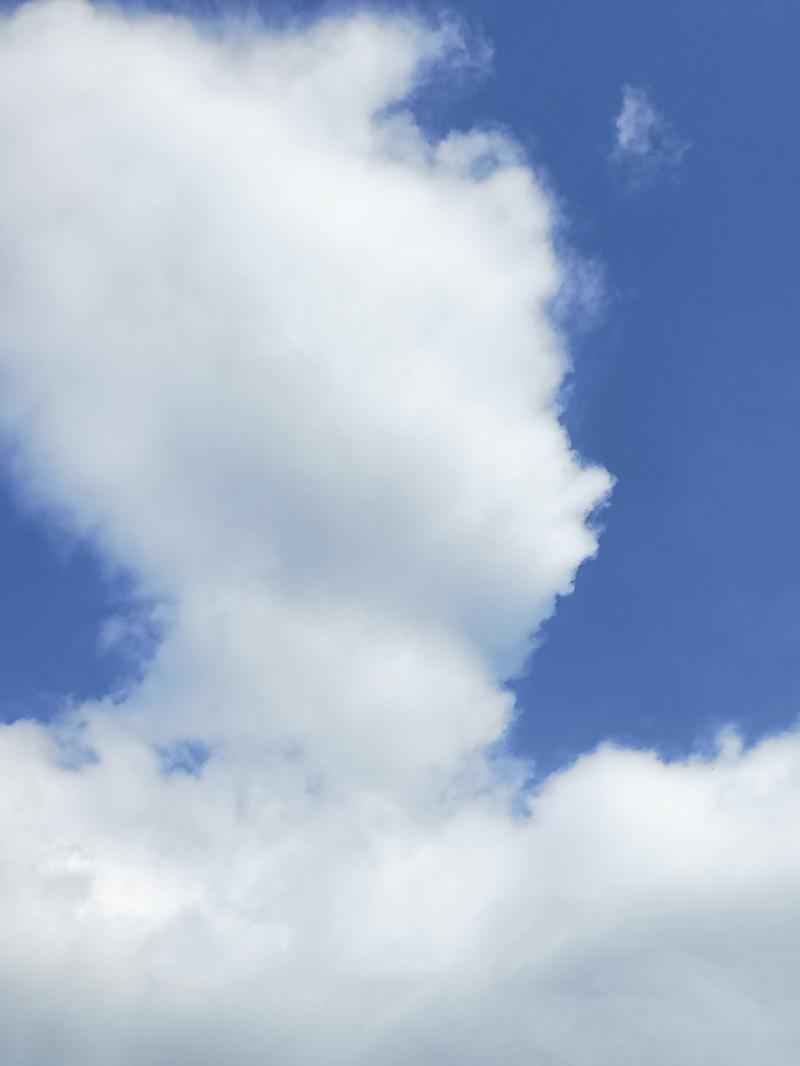 >>3 이런거?☁️