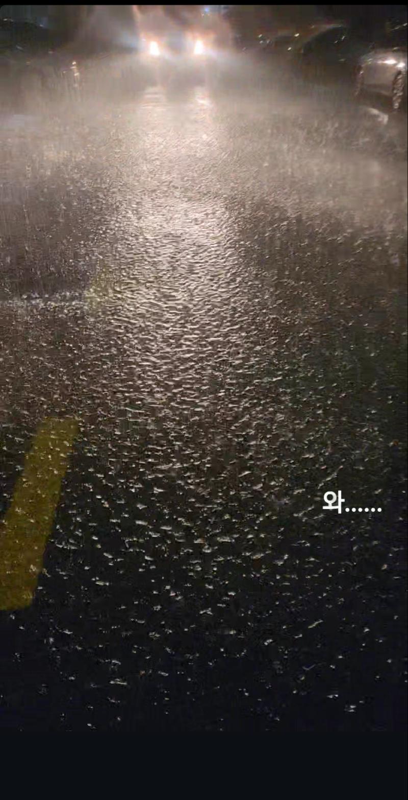 아 맞아 어제 폭우 오늘은 일찍 집에 오니까 기분 좋다
