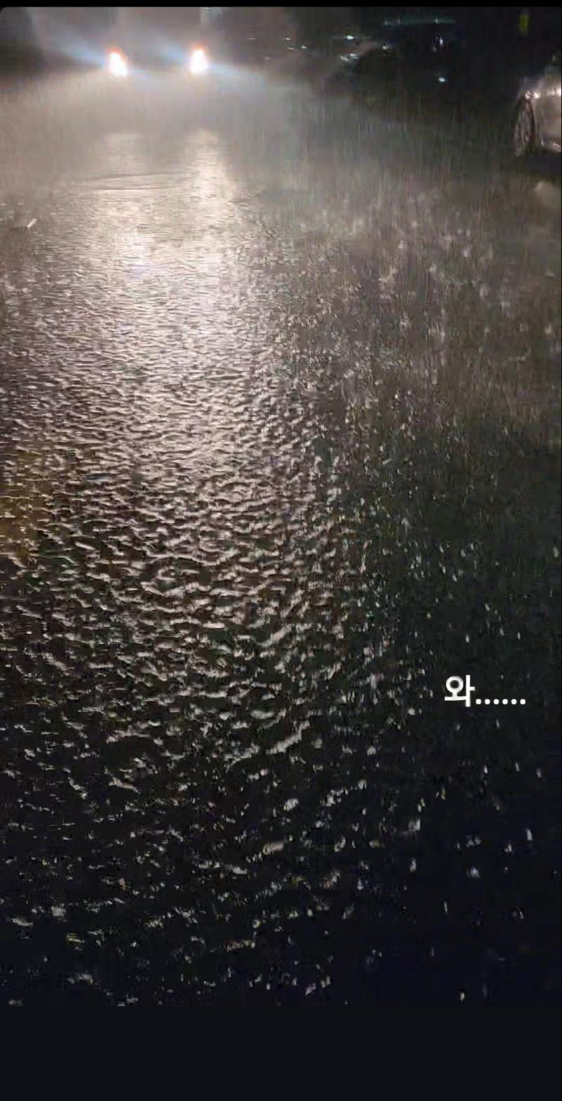 아 맞아 어제 폭우 오늘은 일찍 집에 오니까 기분 좋다