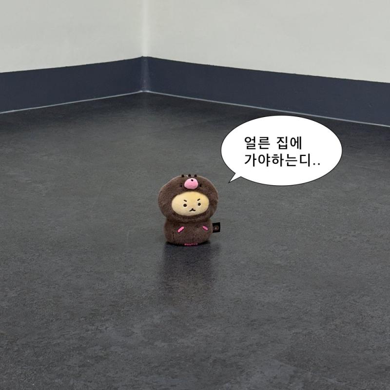 집에 토끼같은 침대와 선풍기가 기다리고 있다고요......