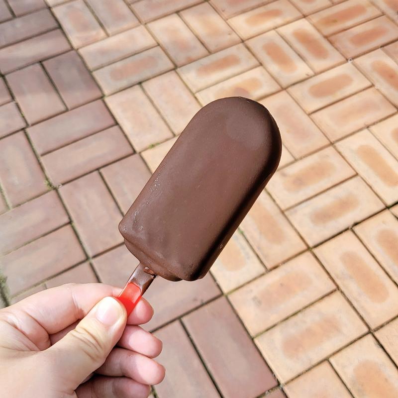 넷플릭스 다크초코바🍦 💬 이고 죤맛탱..비싸긴한데 2+1 하니까 사먹을만 한듯 내 최애 초코바🍫❤️