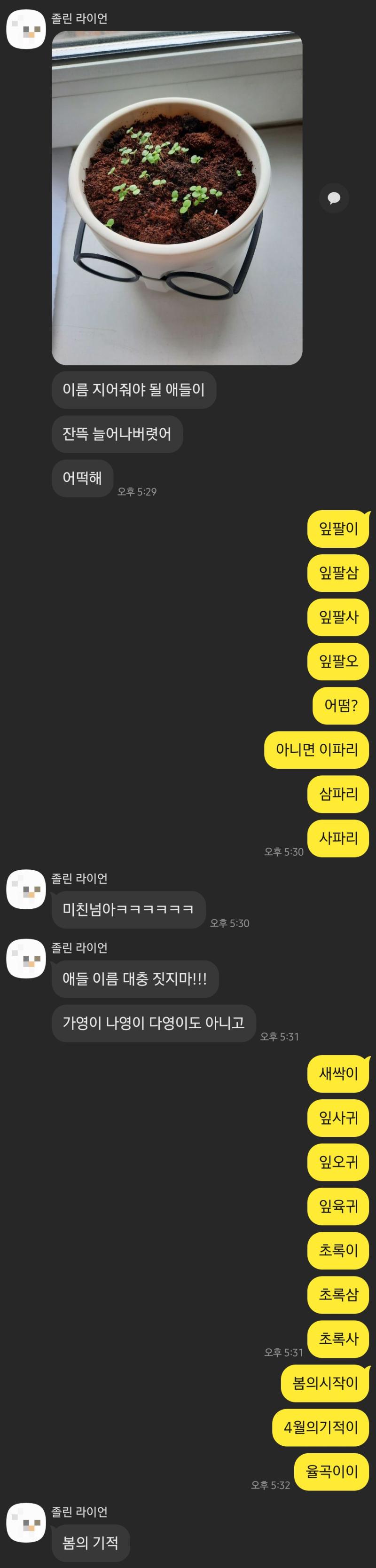 새싹이름짓기3