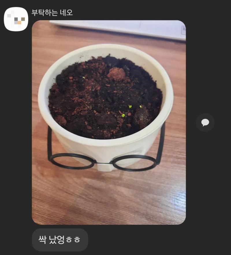 새싹이름 짓기 재용이=화분