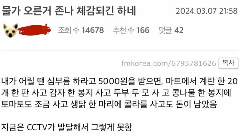 물가 오른거 ㅈㄴ 체감되긴 하네