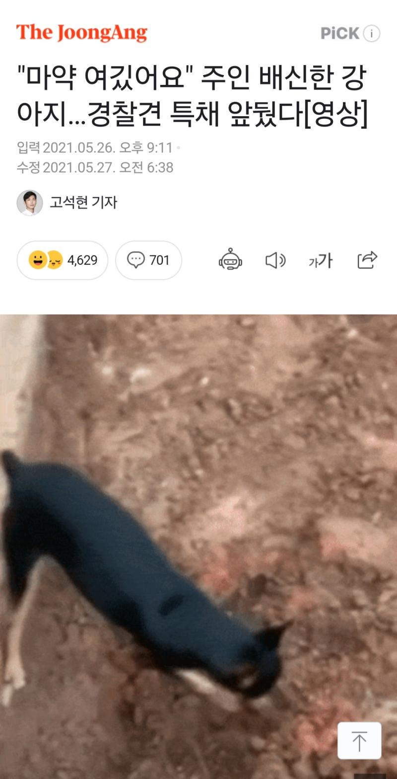견익제보