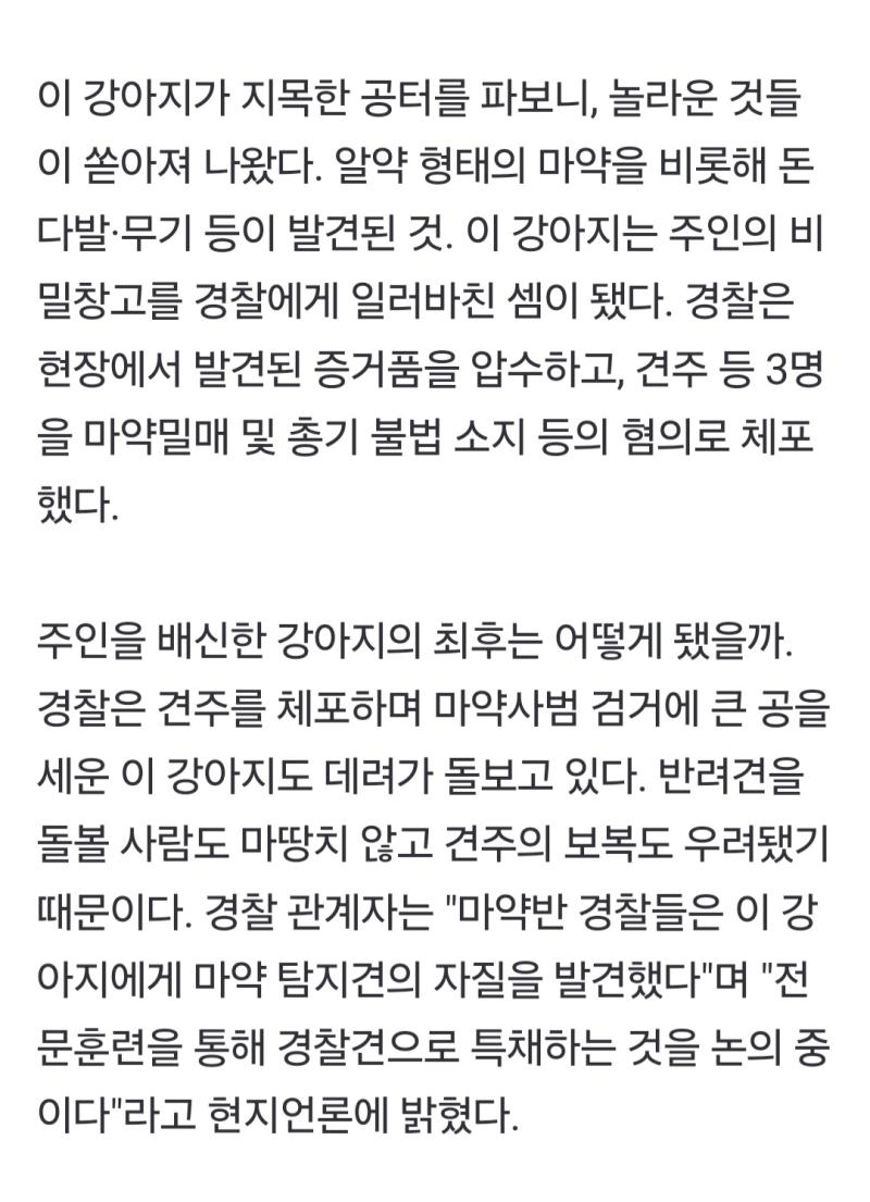 견익제보