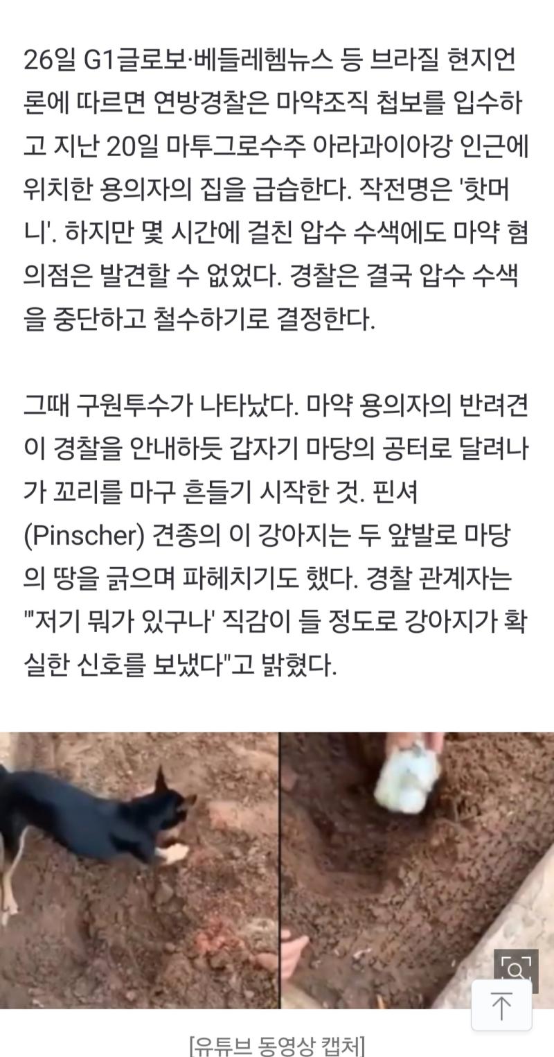 견익제보