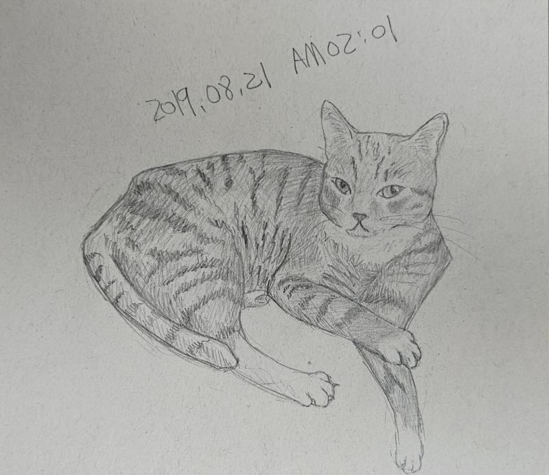 옛날 공책을 뒤적거리다가 옛날 그림을 찾았다 한쪽 다리가 왜 저럴까 생각했는데 고양이니까 이상한 자세도 되나보다 하고 알아서 납득했다