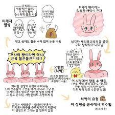 >>84 나도 그거 생각함... 뮤비에 쓰는 거 자체는 상관 없는데 그 이후에 벌어지는 파급은 문화적 전유나 다름없음. 뮤비만 깔짝 본 사람들이
