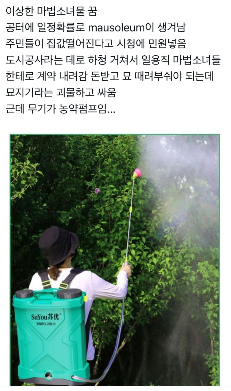 이상한 마법소녀