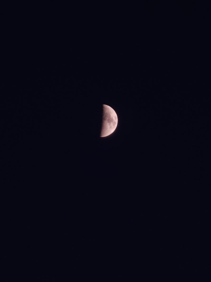 오늘의 달. 벌써 밤하늘이 다 됐어. 어두워지는 시간이 빨라진 게 느껴진다. 겨울 천천히 왔으면.