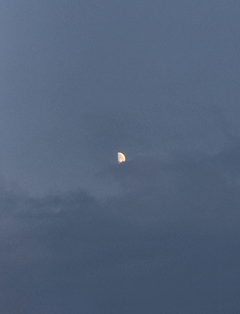 오늘의 달! 구름으로 못 볼 줄 알았는데 딱 맞게 찍었네. 1번째는 기본 카메라로 찍은 거. 반달 안녕~
