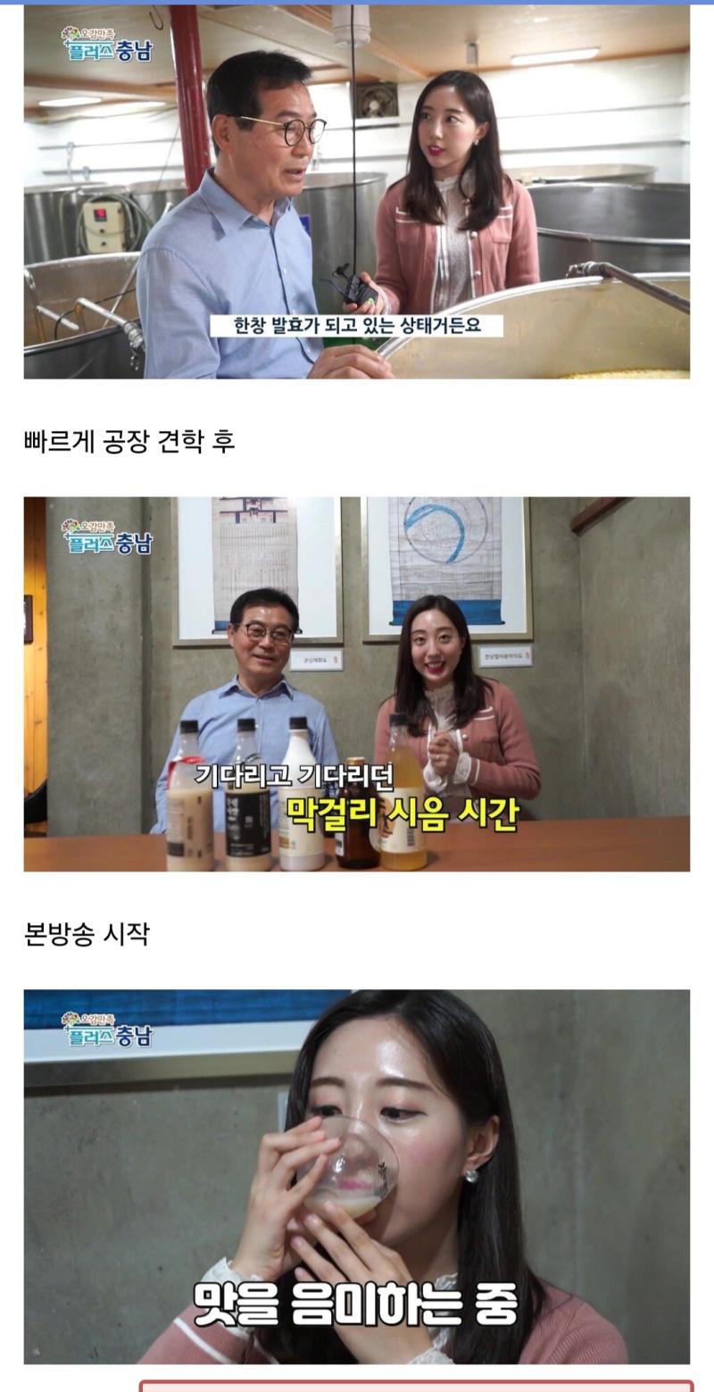 막걸리를 너무 좋아하는 충청남도 리포터