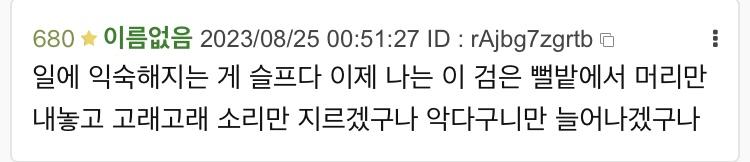1년 전의 일기 전혀 괜찮지 않군 오히려 파국이다
