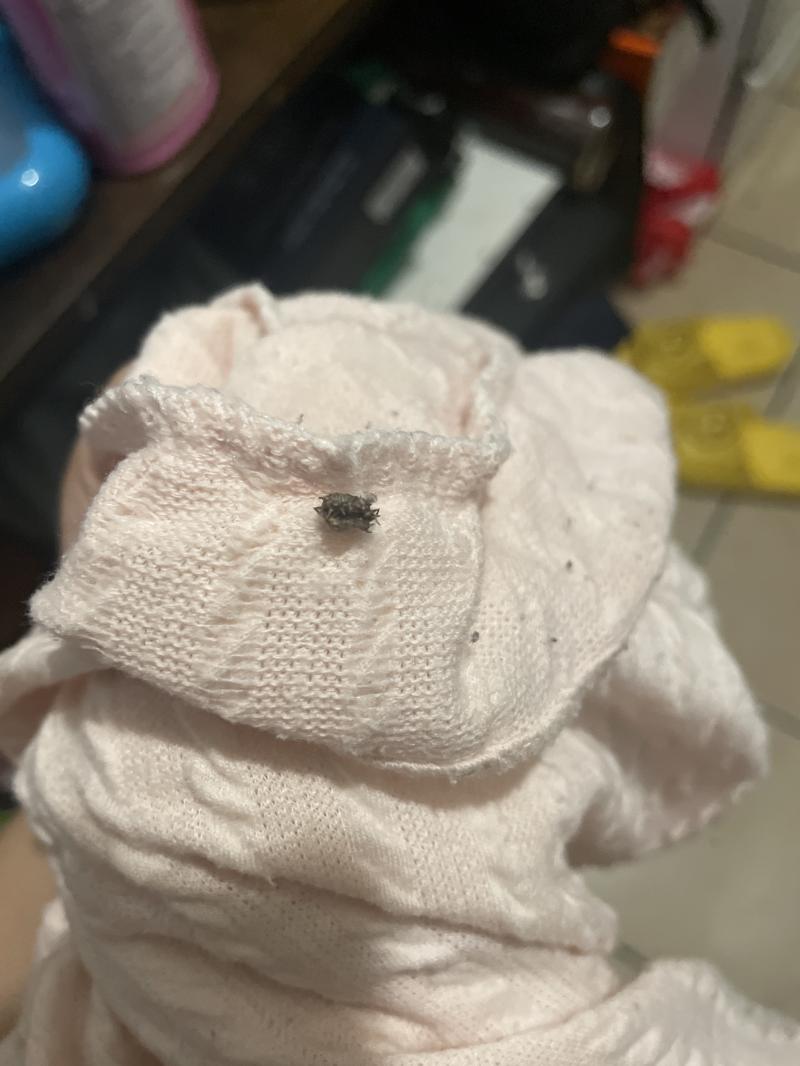 움직이진 않고 어떻게 붙은거지 이게? 집에서만 입음