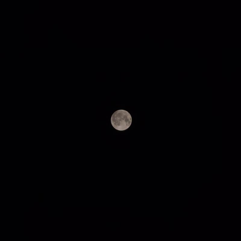 슈퍼 블루문🌕