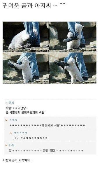 관점의 차이