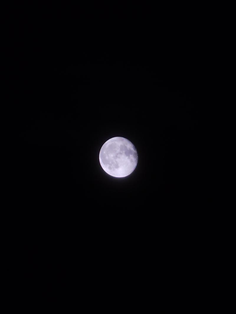 오늘의 달 오늘도 구름 많아서 못 볼 줄 알았는데 다행히 밝게 빛나고 있더라