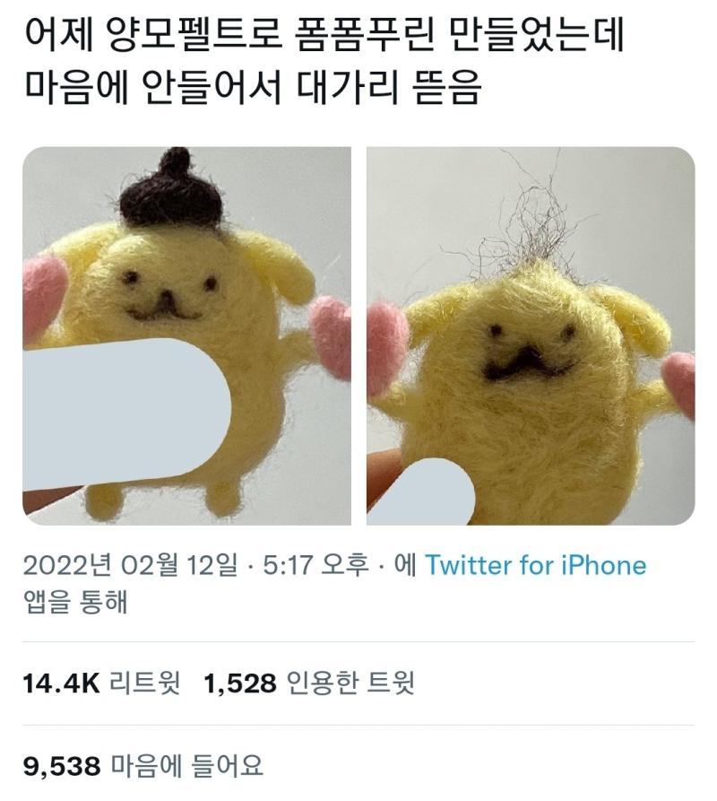 양모펠트