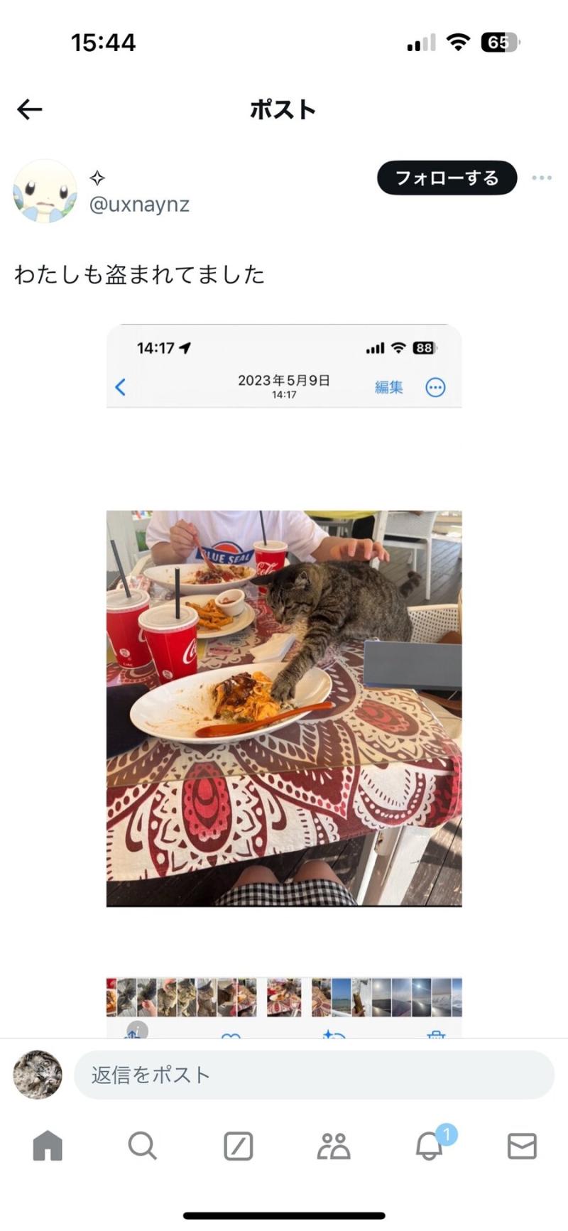 >>584 1번째짤; 저도 당했어요 2번째짤; 이거 2018년돈데 분명히 똑같은 녀석이야www