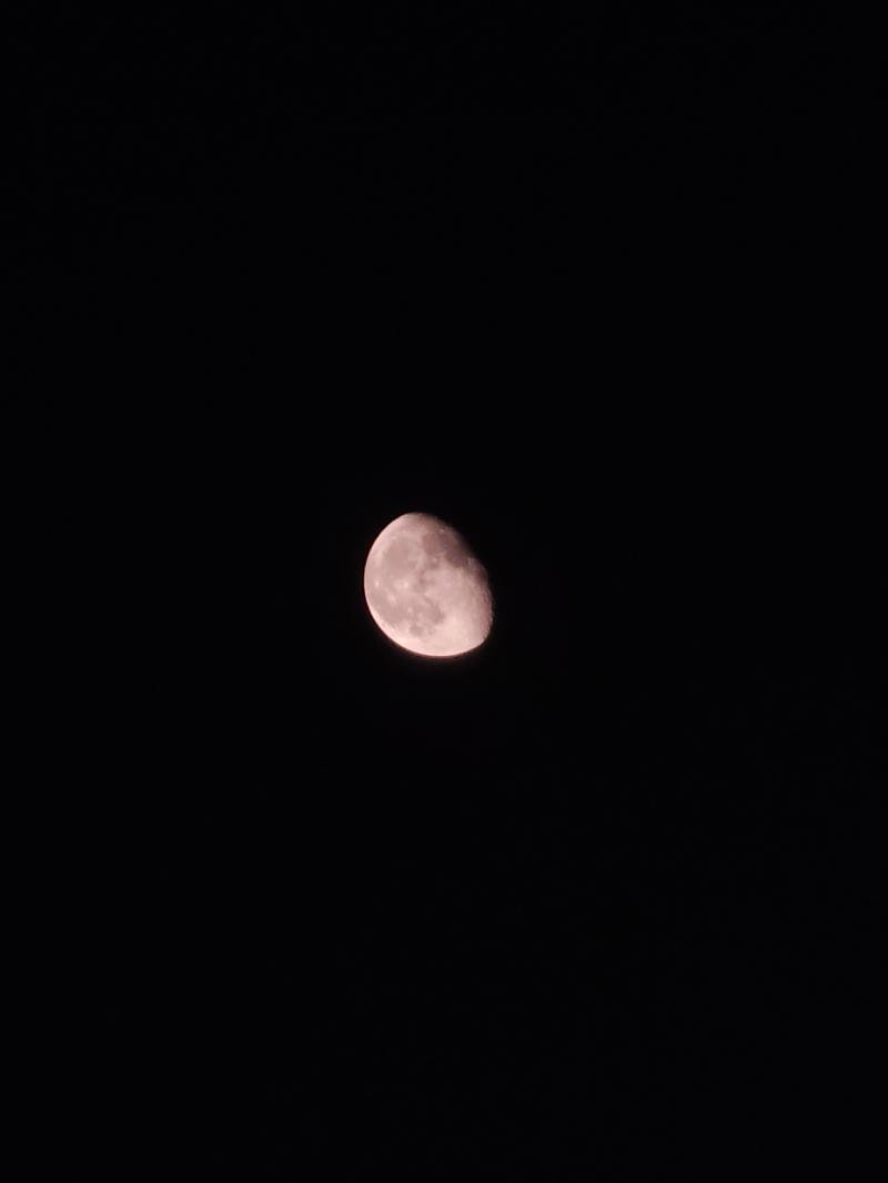 오늘의 달!