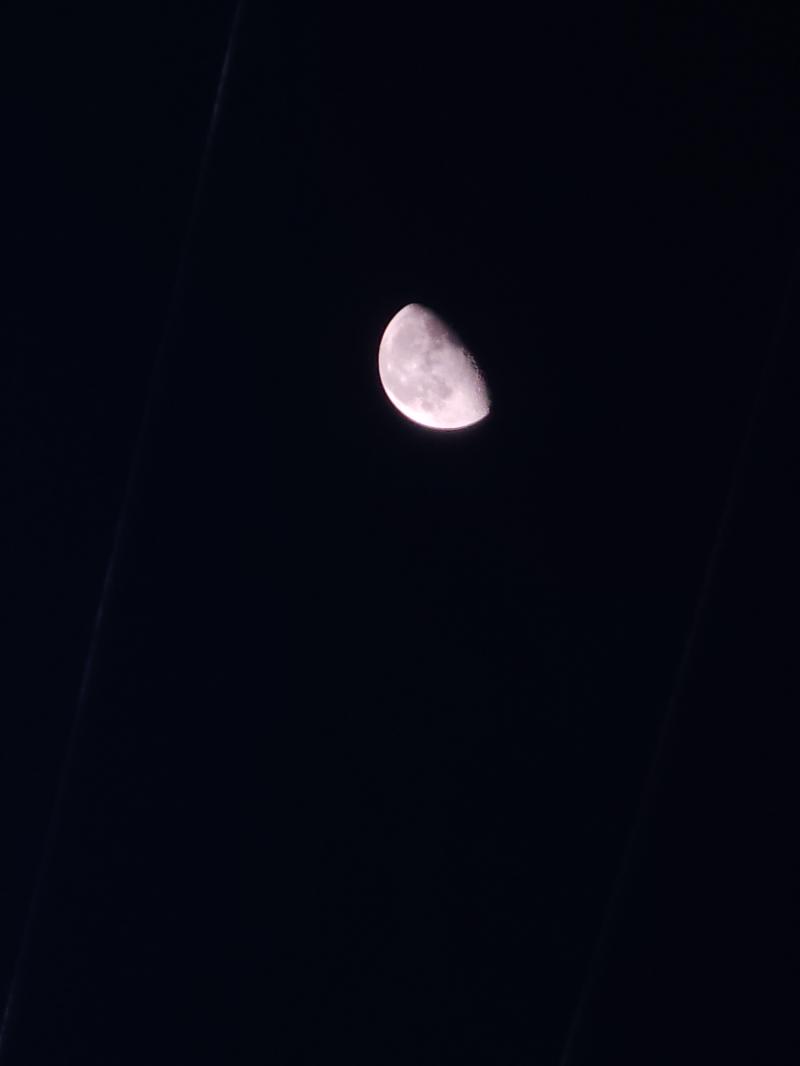 오늘의 달~
