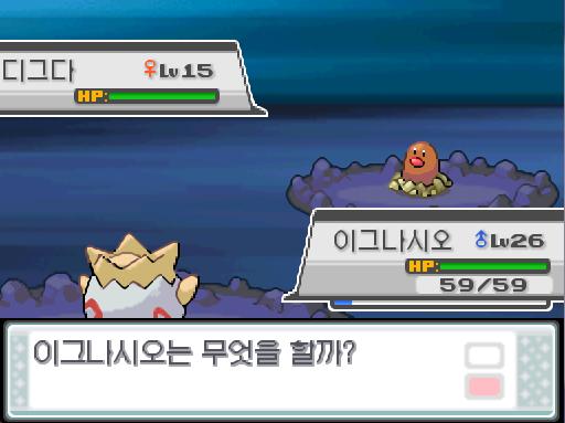 절구산에서 포켓몬과 만날 수 있는 횟수: 최대 1회/현재 1회 절구산에서 트레이너와 배틀할 수 있는 횟수: 최대 1회/현재 0회 (특별한 트레이