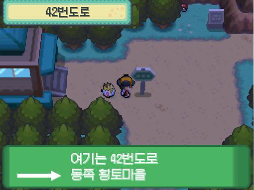 연가람은 이그나시오를 꺼냈다. 이그나시오는 몸을 늘어뜨리고 긴장을 풀고 있다. 연가람은 이그나시오와 함께 42번 도로로 향했다. 경비원은 42번