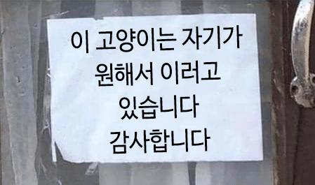 이 애들은 원해서 이러고 있습니다