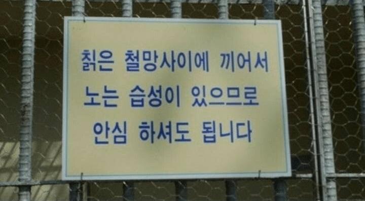 이 애들은 원해서 이러고 있습니다