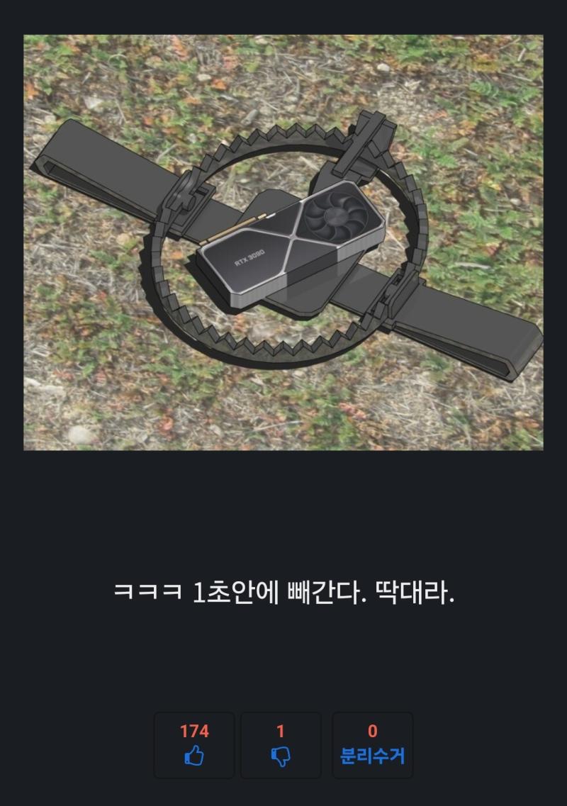 동물들이 덫에 걸리는 이유