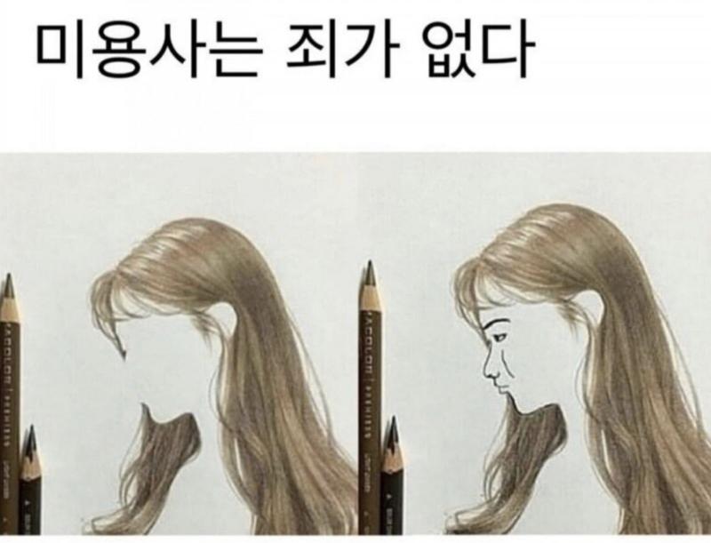 미용사는 죄가 없다
