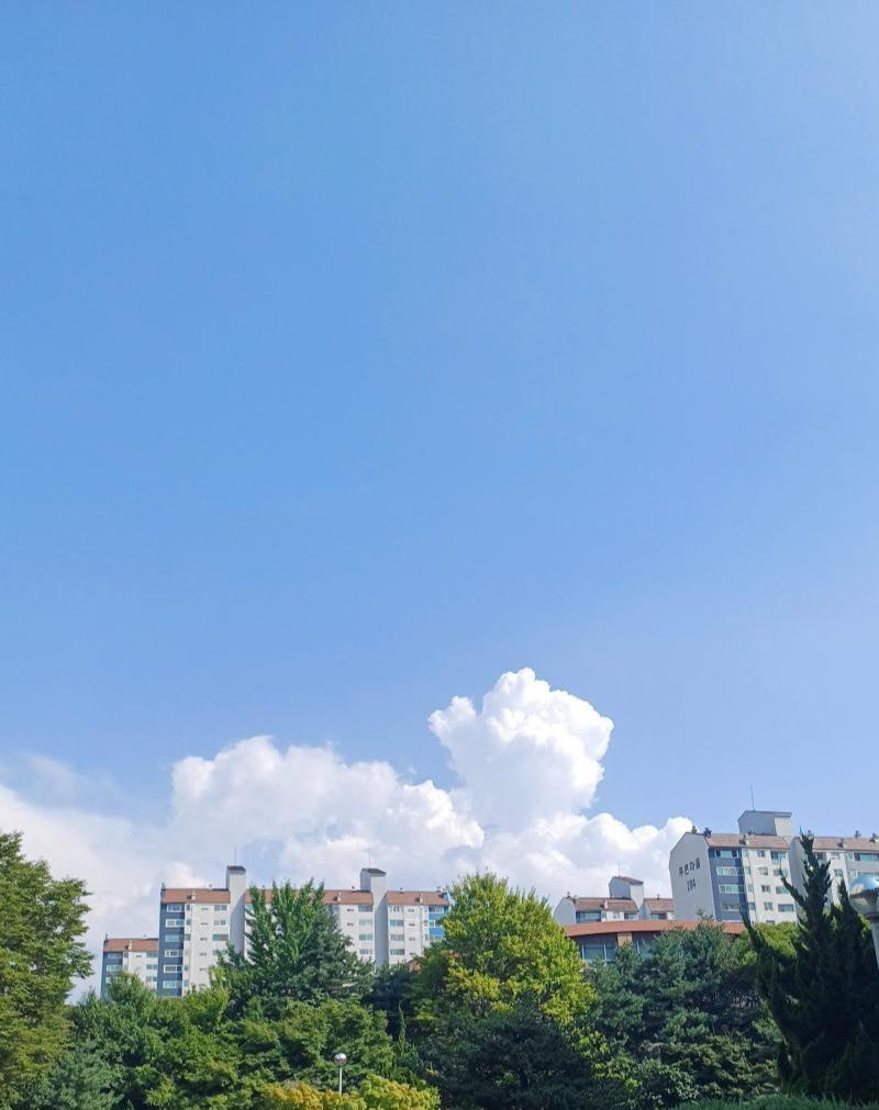 이렇게 윗부분만 나오게 잘라도 (나무, 하늘, 아파트) 시선을 분산시킬 요소가 줄어들어서 사진이 느낌있게 나와