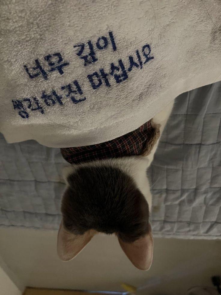나는 참 생각이 많아요. 행복한 떠올림이었음 좋겠지만 언제나 나를 미워하는 얘기 뿐입니다. 그렇게 다시 울적해지고 속상해지고 다시 태어나고 싶어
