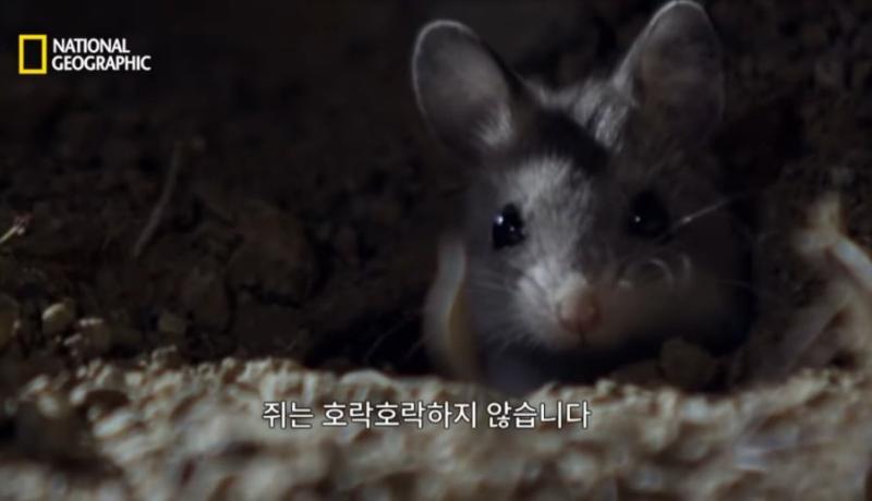 나도 호락호락하지 않습니다 (그리고 항상 세상에 짐