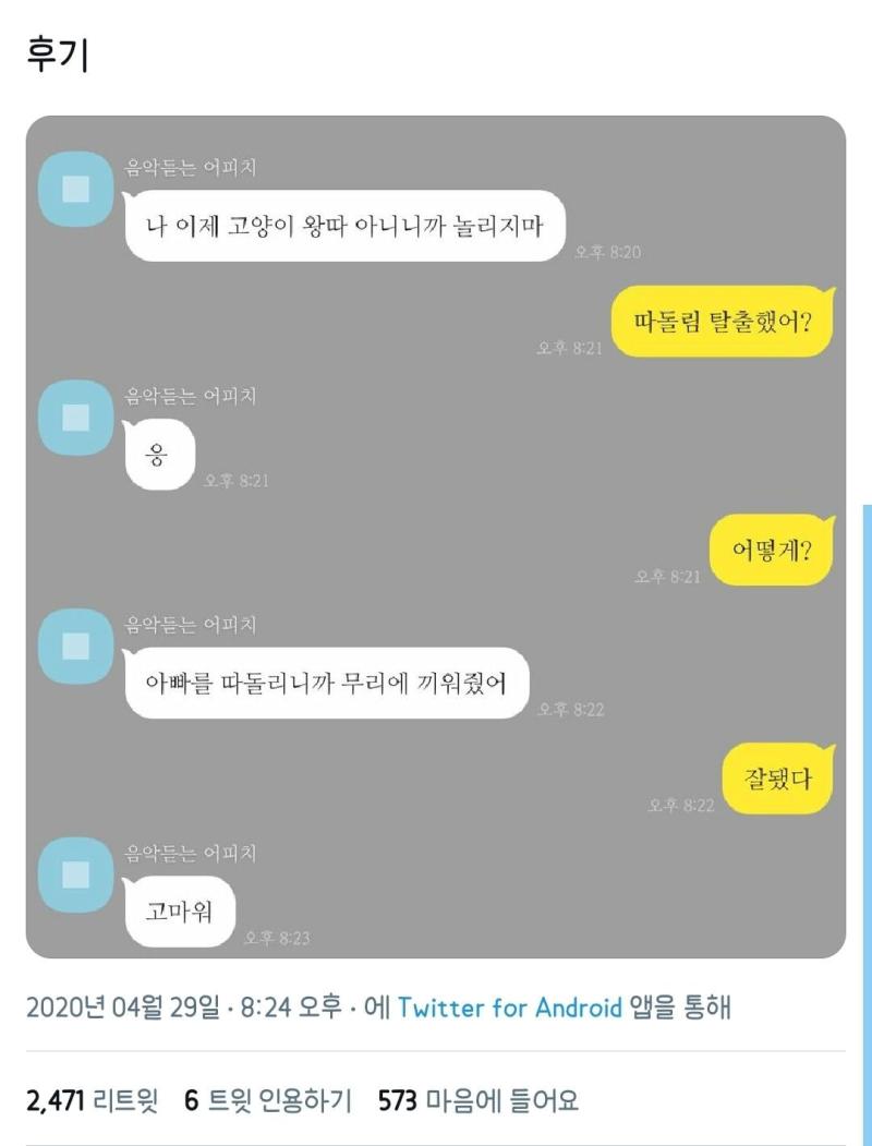 반려동물