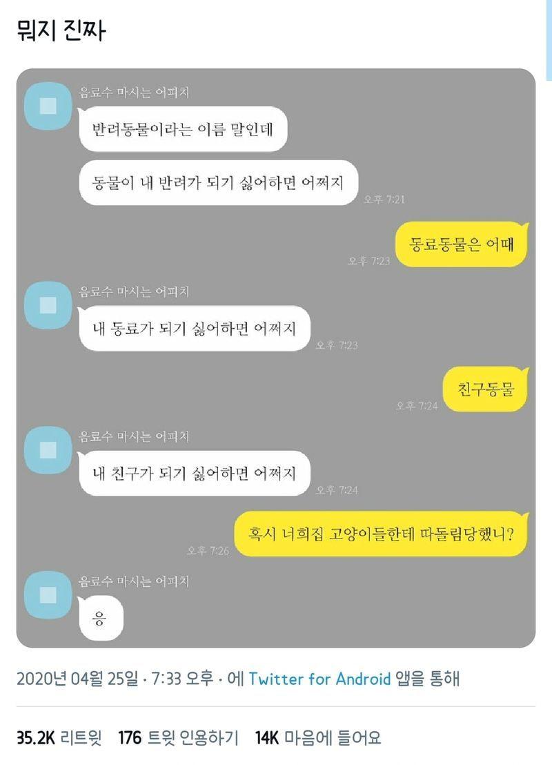 반려동물