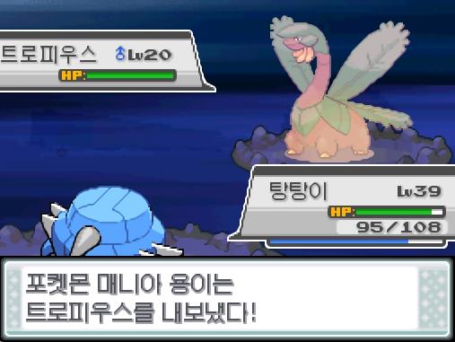 상대 성원숭의 브레이크크루! 효과가 별로인 듯 하다. 탕탕이의 사이코커터! 효과가 굉장했다! 상대 성원숭은 쓰러졌다! 이그나시오와 탕탕이는 12