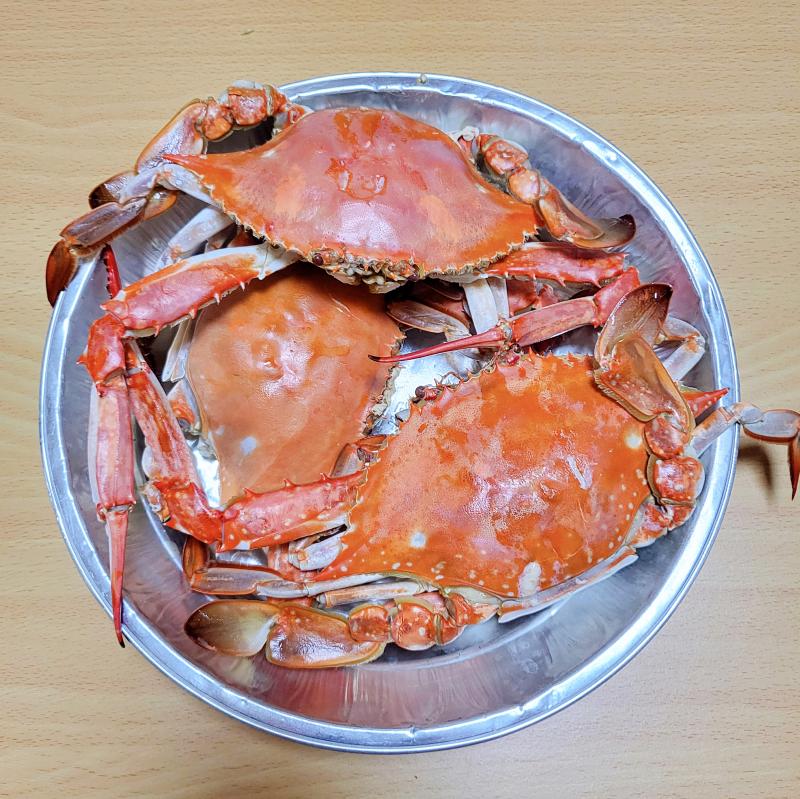 게🦀 💬 삼촌이 게도 사 주셔서 오늘은 새우, 게 포식🥹🩷