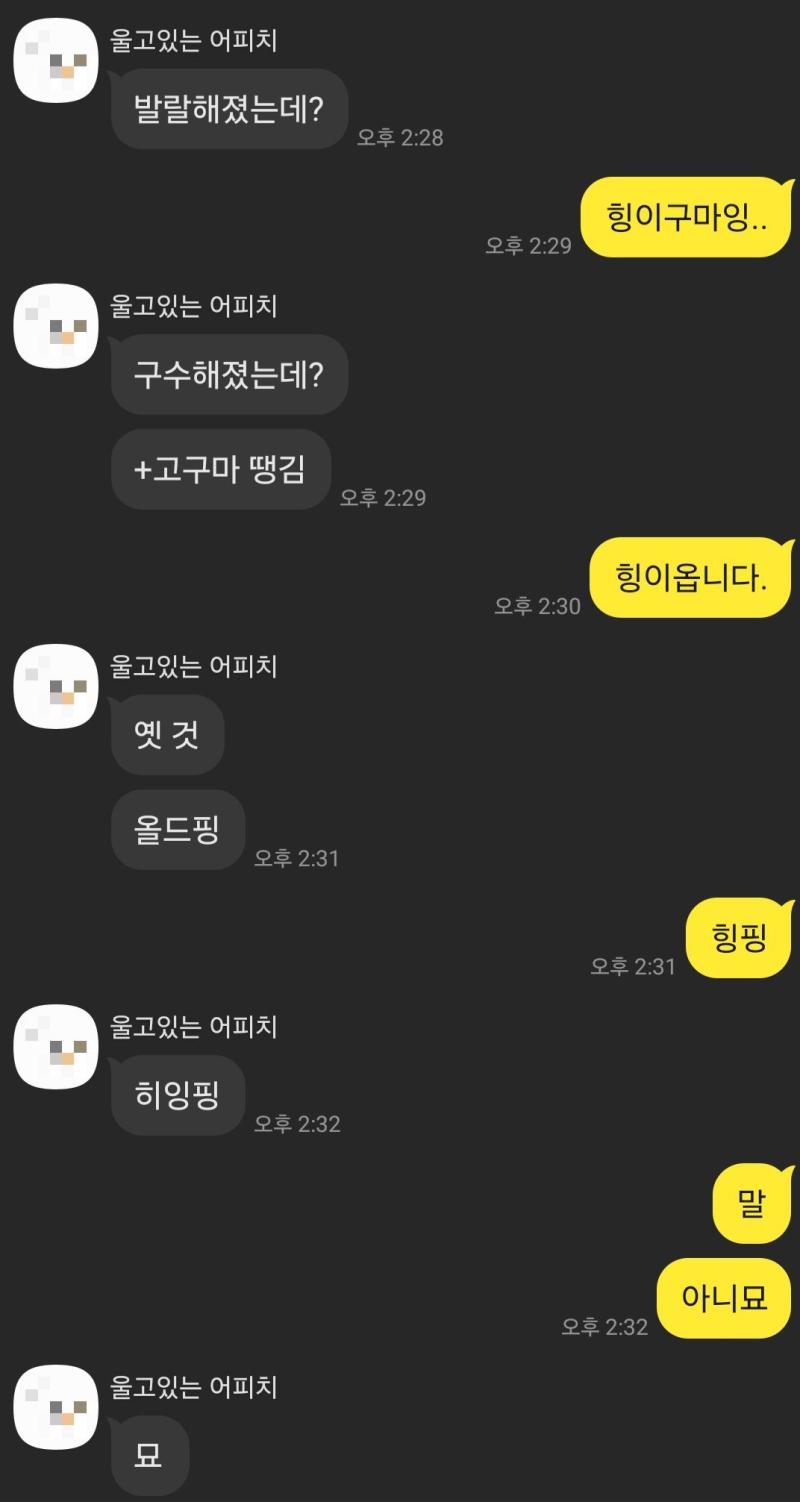유행 따라가려 아무데나 핑을 갖다붙임 MZ이렇게하는거맞죠?