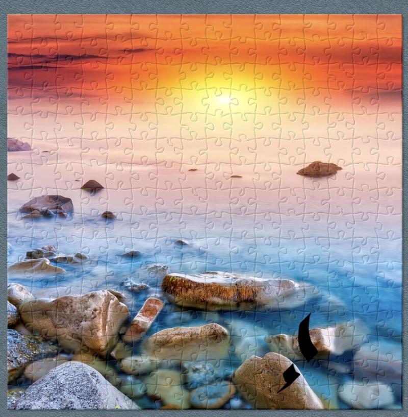 256
