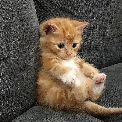 내 모습을 오랫동안 봐온 사람들이라면 내게 꽤나 질려있을 수도 있겠다 싶어서 며칠동안 앞으로 어떻게 행동해야할지 고민했다. 어느정도의 신비함을