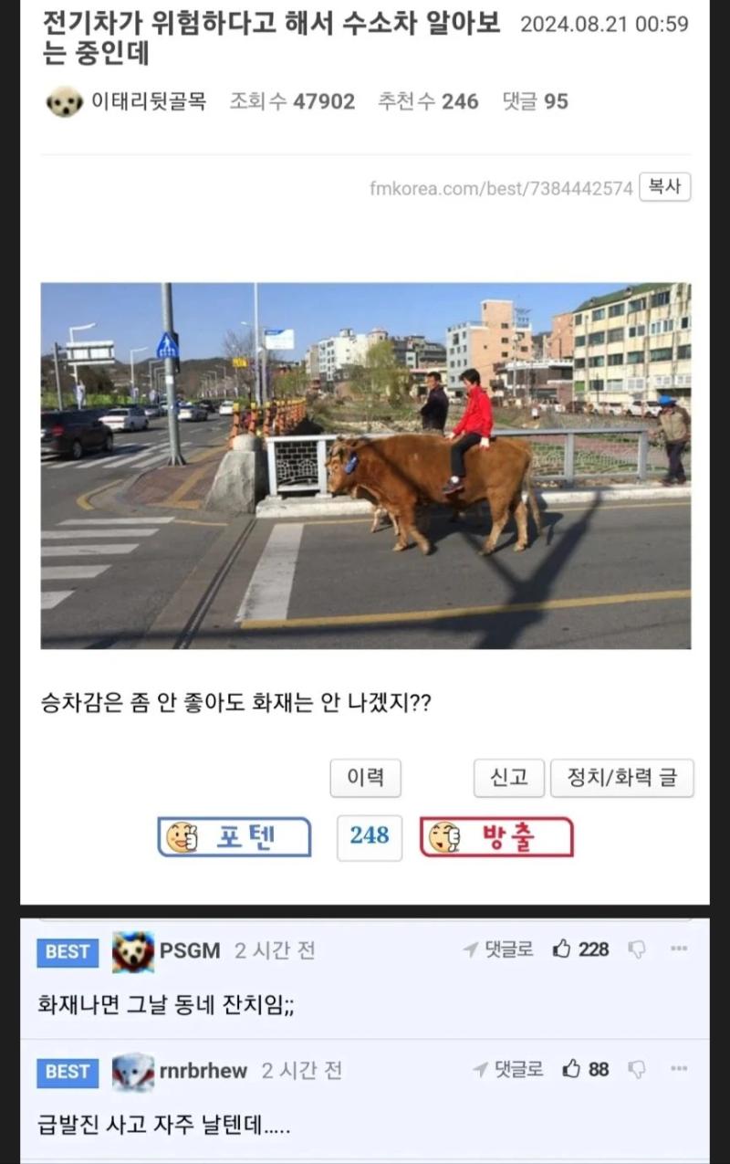 전기차는 위험하대서 수소차 알아보는 중인데