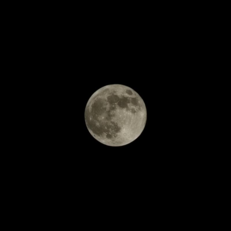 작년 8월 31일 이후 약 1년 2개월 만에 보는 슈퍼문🌕맨눈으로 보니까 밝긴한데 큰건 모르게따 그냥 둥글둥글 예뿜