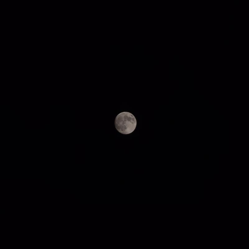 프로모드도 쨘!!🌕