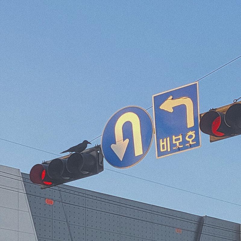 최근 찍은 미공개 사진